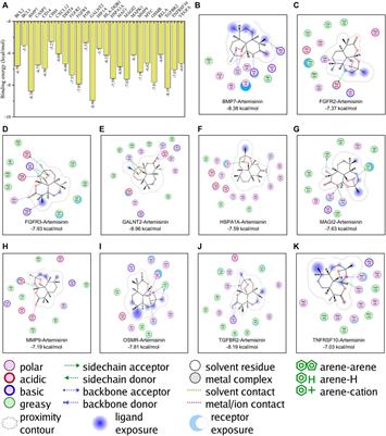 A Pharmacoinformatics Analysis of Artemisinin Targets and de novo Design of Hits for Treating Ulcerative Colitis